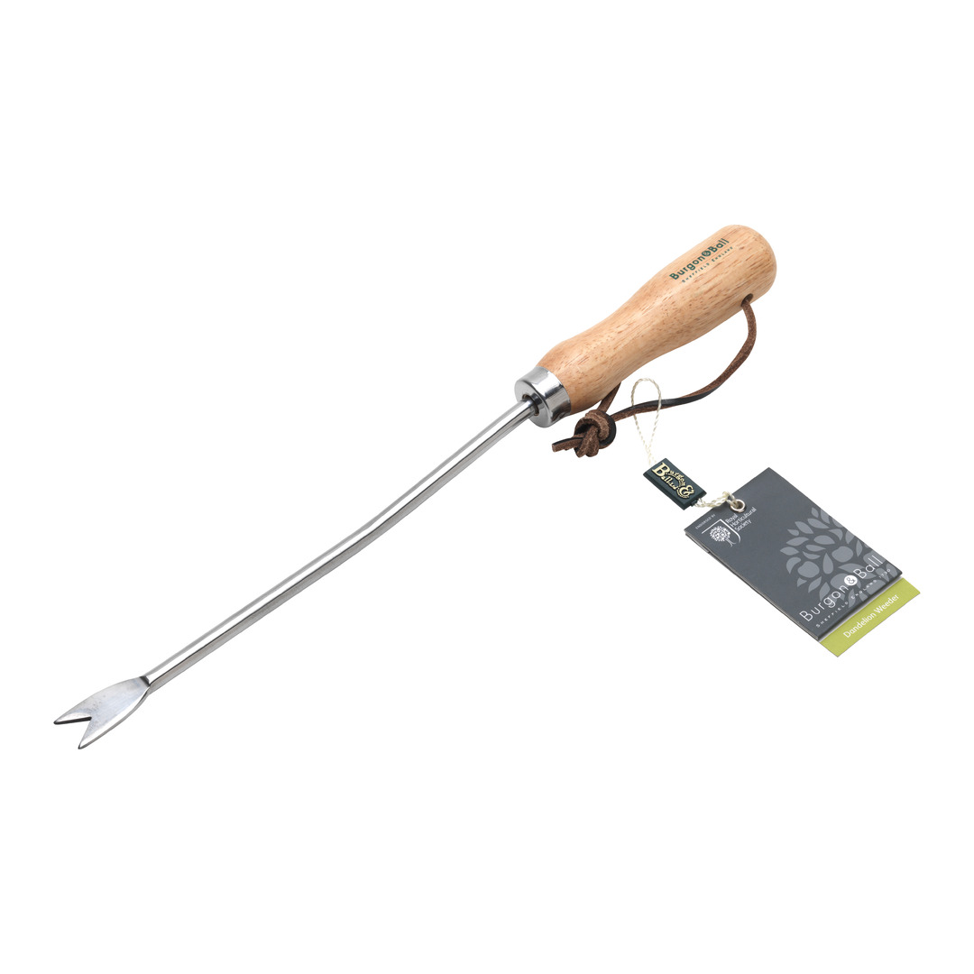 Wurzelstecher Rostfrei