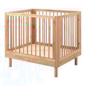 playpen Forrest