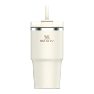 Thermosflasche Stanley