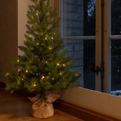 LED-Baum Outdoor Light
