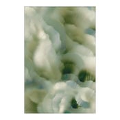 Wollteppich FLITTER FLUTTER