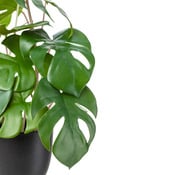 Kunstpflanze Greeny-2525