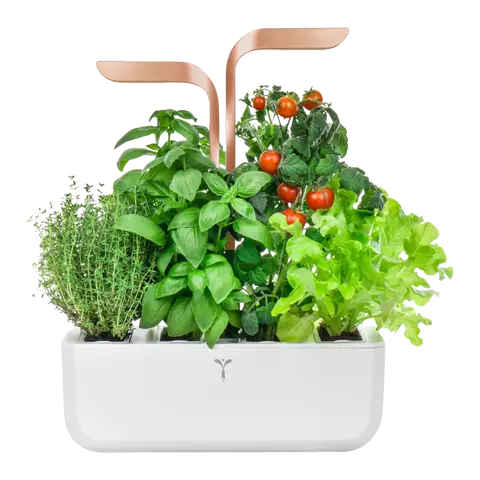 vaso per erbe Smart