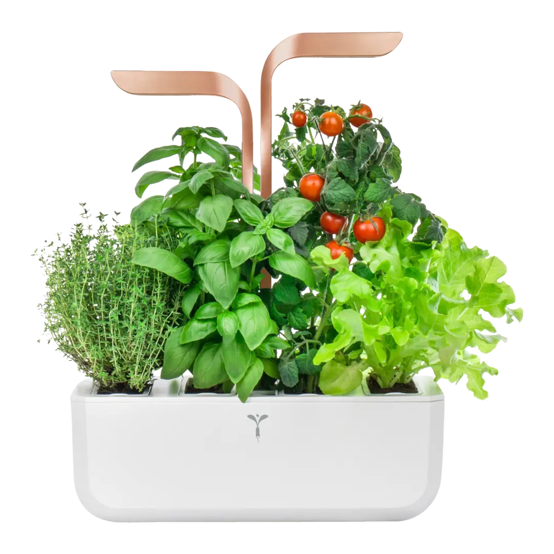 vaso per erbe Smart