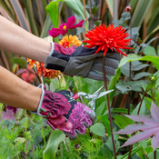 guanti da giardinaggio British Bloom