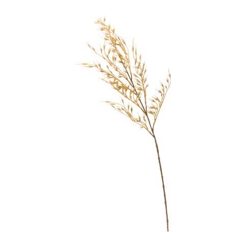 branche décorative DRIED-GRASS