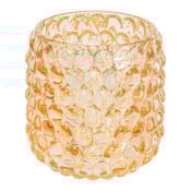 photophore Exotica