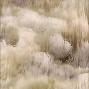 Tuft-/Webteppich BEETLE DUNES