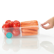 scatola di stoccaggio Fridgestore