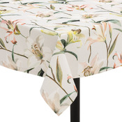 nappe LILOU