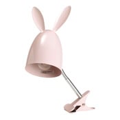 spot Rabbit