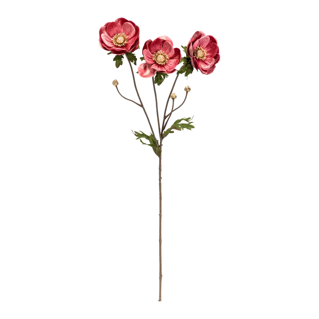 Dekozweig Exotica