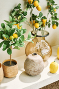 branche décorative GIARDINO