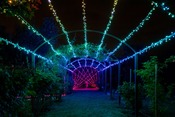 ghirlanda luminosa Strings