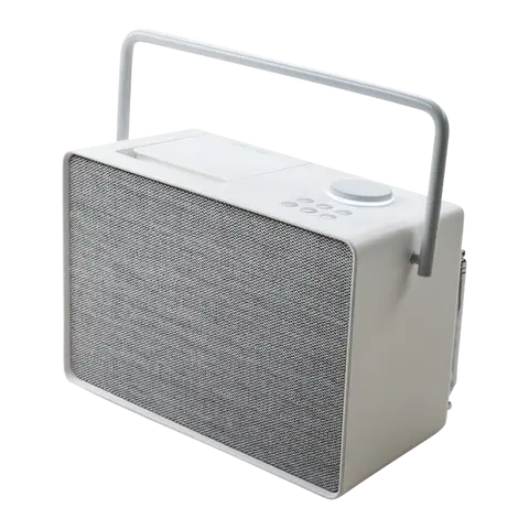 DAB Radio Pure Evoke Play
