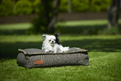 lit pour chien Cobana