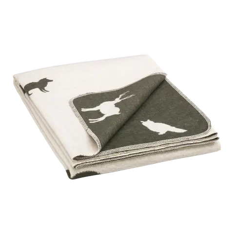 couverture CERVO