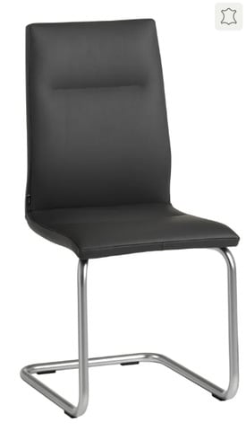 Freischwinger Eva