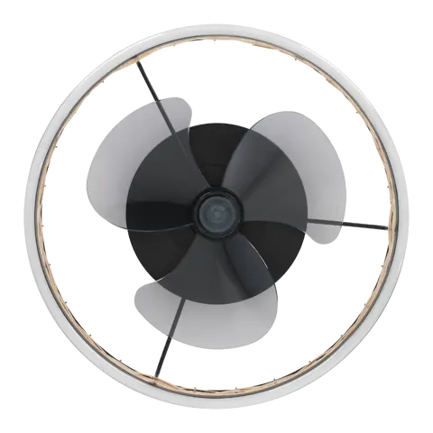 ventilateur de plafond avec lumière Frana