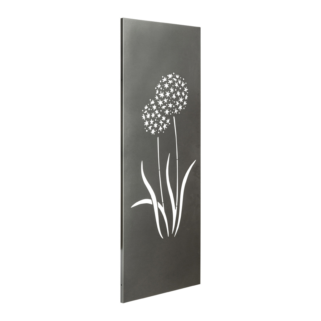 paravent Allium