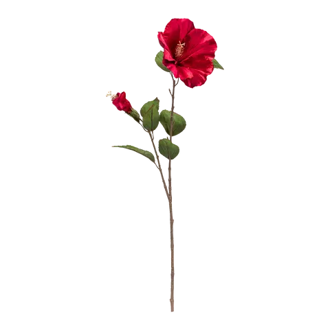 Dekozweig Exotica