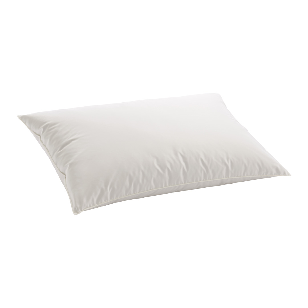 Kopfkissen Eider Soft Plus
