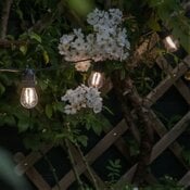 guirlande lumineuse Smart Light