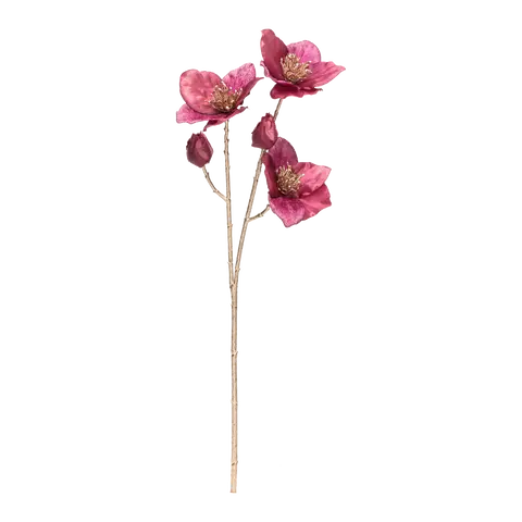 Dekozweig Exotica