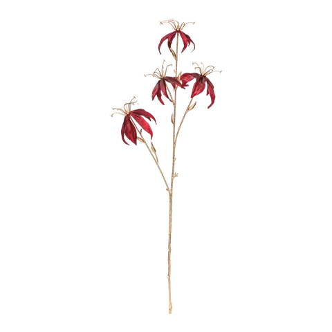 ramo decorativo Magic Blooms