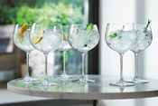 set da gin Balloon