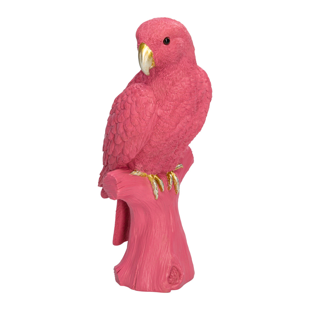 Vogel Ara