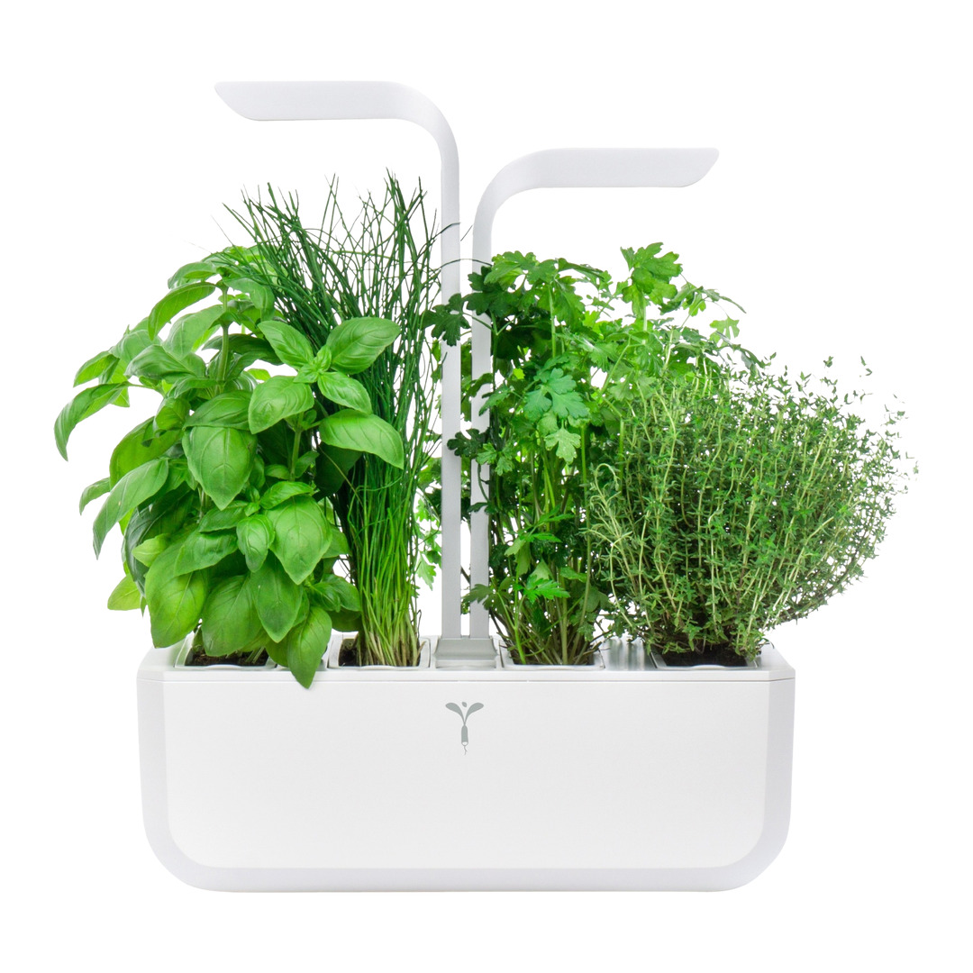 vaso per erbe Classic