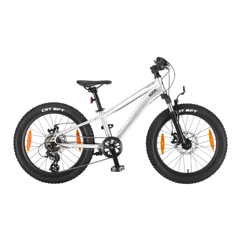 bicicletta Cross