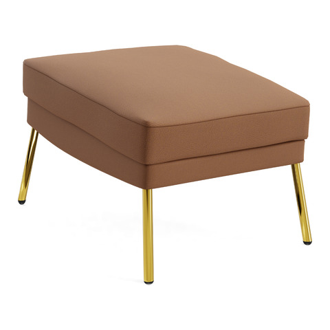 Hocker Alex