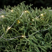 Lichterkette Battery Light