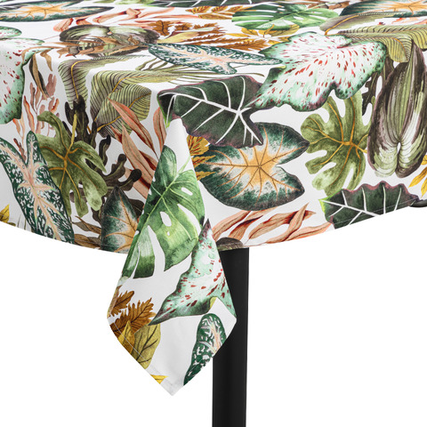 nappe Casia