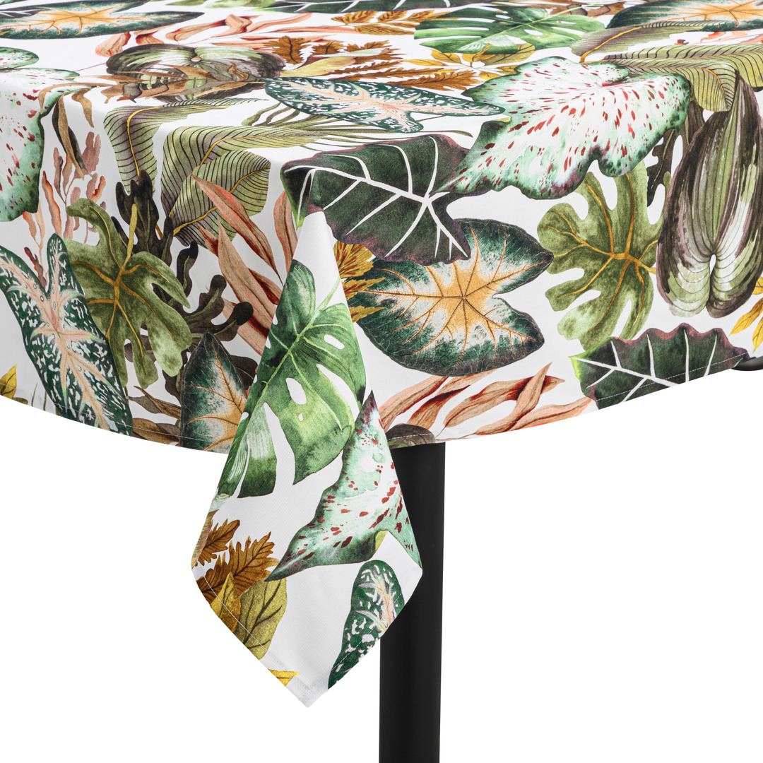 nappe Casia