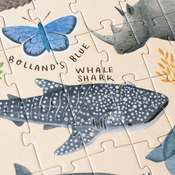 puzzle JUEGO