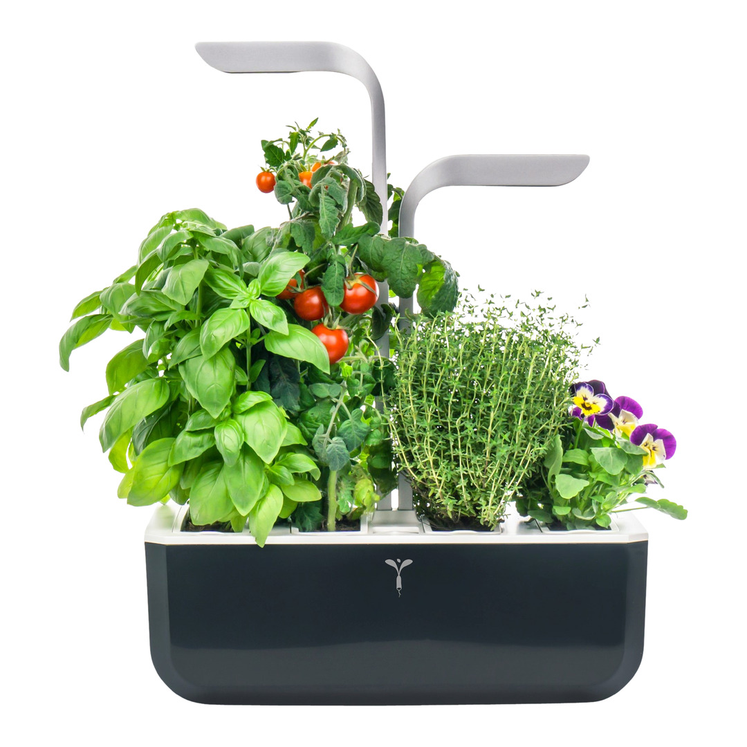 vaso per erbe Smart