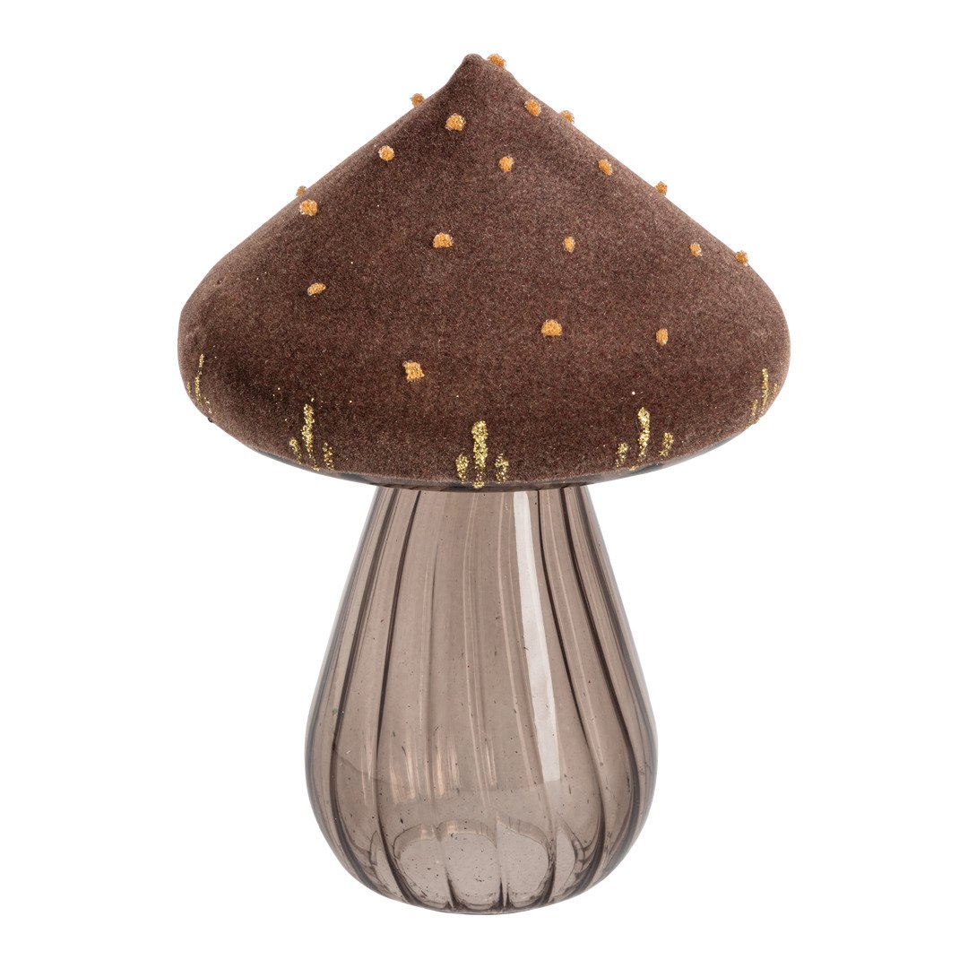champignon Mystic Forest