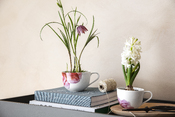 Kaffeetasse Rose Garden