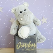 peluche SWEETY
