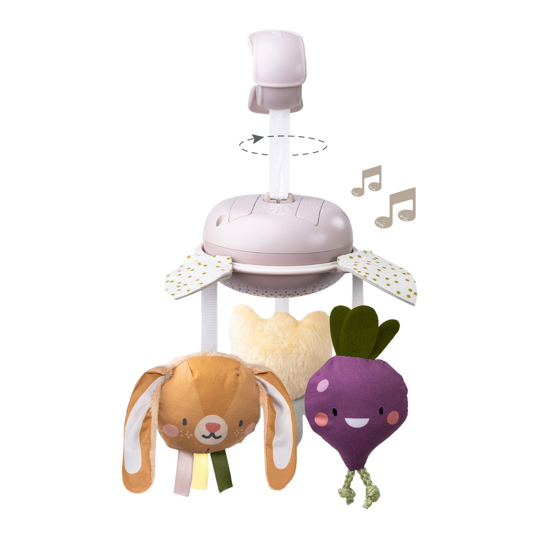 jouet Taf Toys
