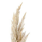 ramo decorativo Dried-Grass