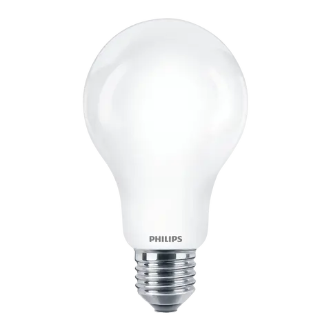 lampadina E27 LED