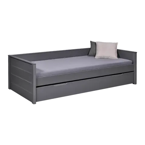 lit extensible Dream The Future