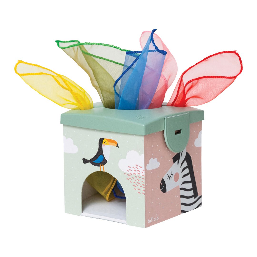 jouet Taf Toys