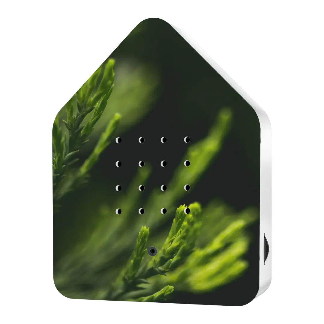 Soundbox Zwitscherbox