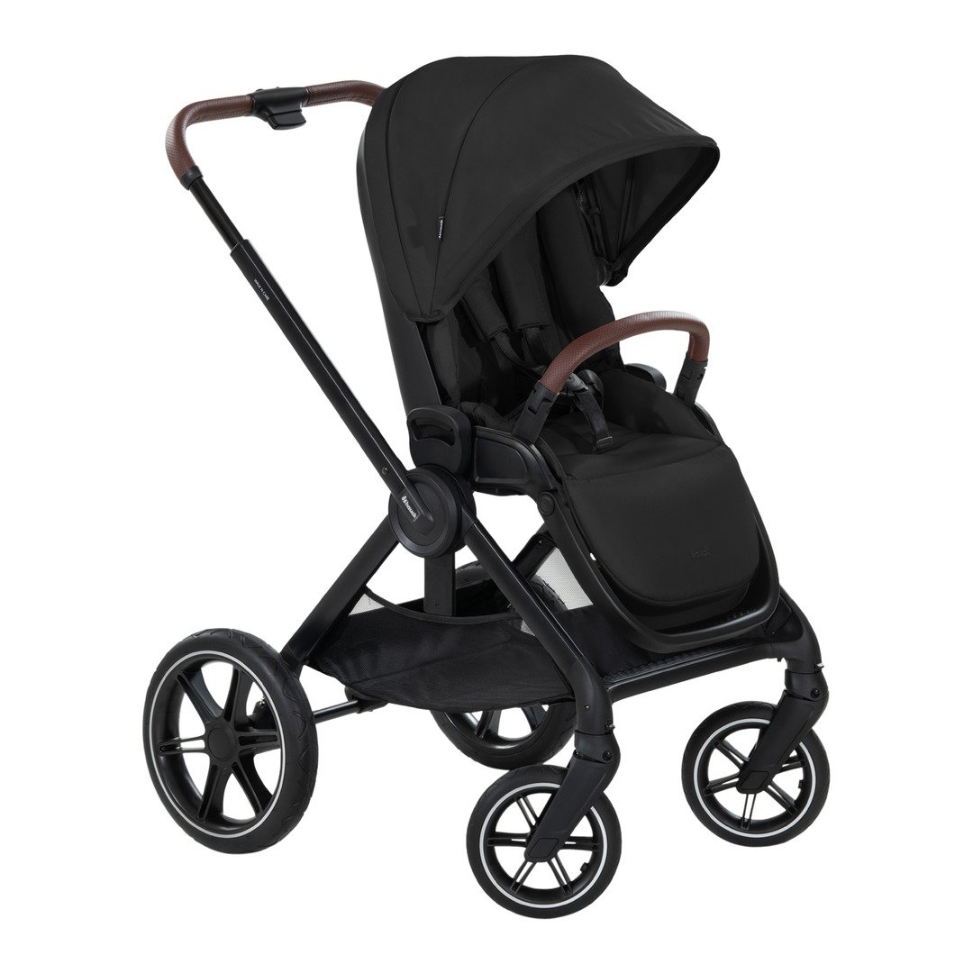 carrozzina Walk N Care