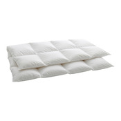 Duvet Media Plus
